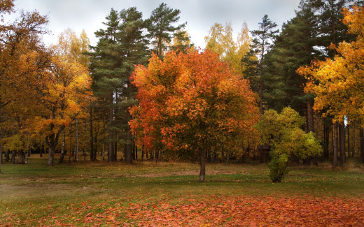 722892 (a): :2560x1600